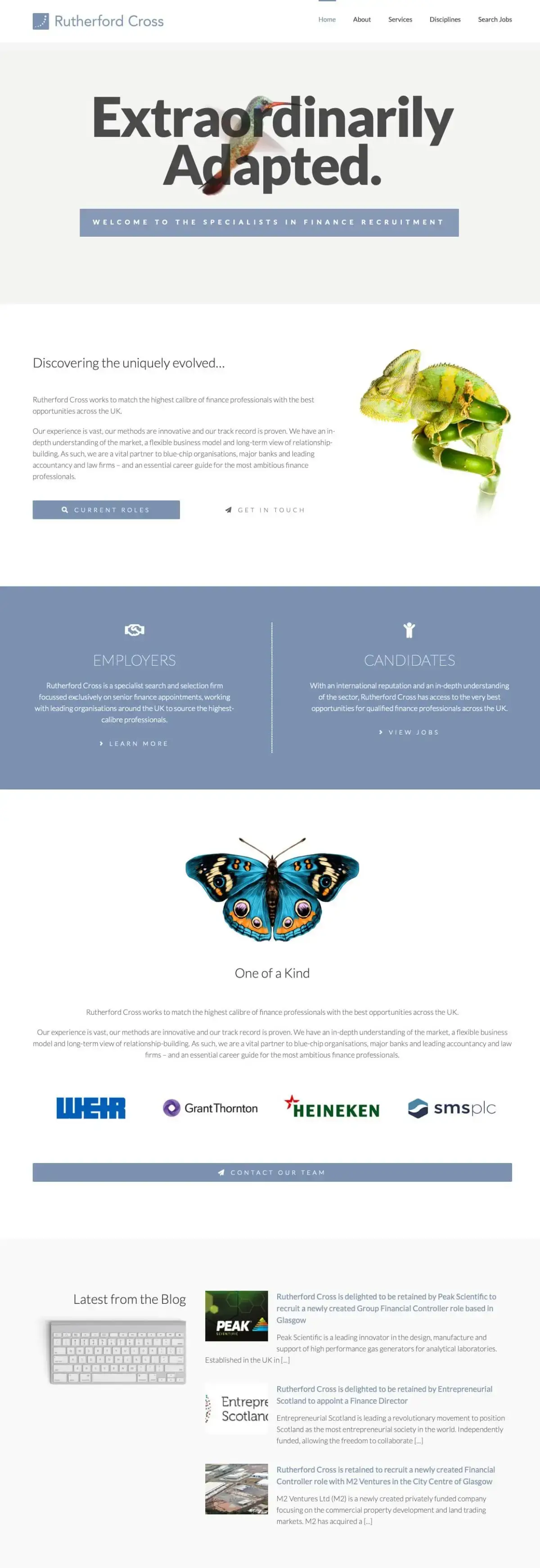 Website Redesign for Executive Financial Recruitment Specialists