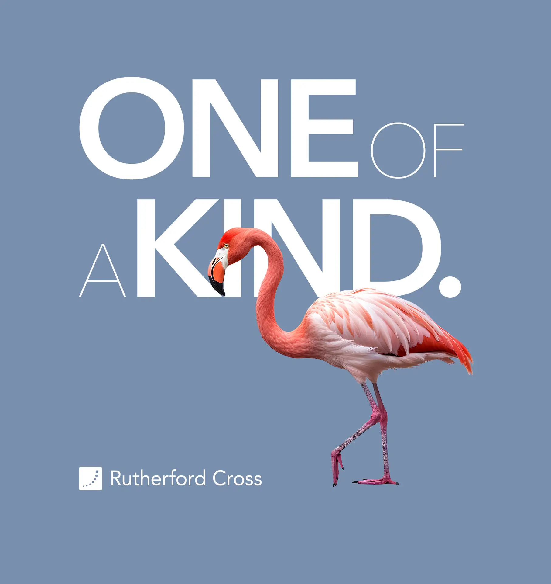 great website design for recruitment company